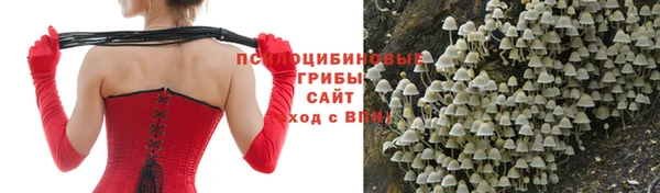 спиды Алзамай