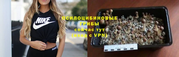 спиды Алзамай