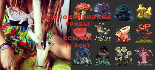 дурь Алексин