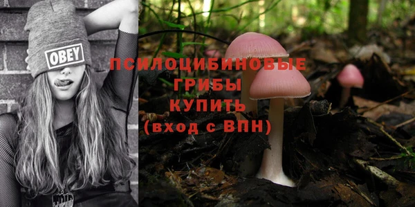 дурь Алексин