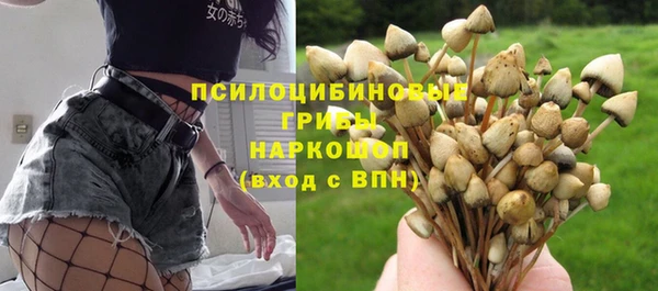 спайс Алексеевка