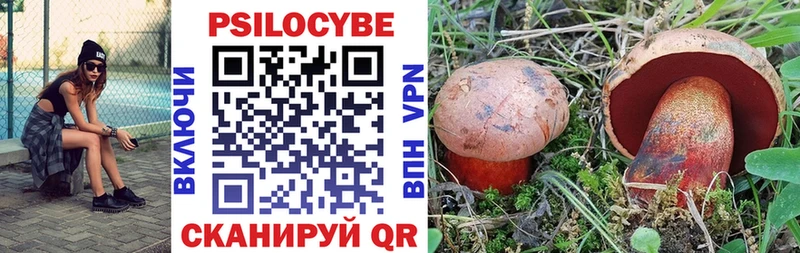 Псилоцибиновые грибы GOLDEN TEACHER  где продают наркотики  Тайшет 